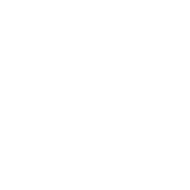 Checklist Icon