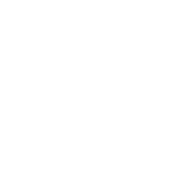 Thermometer Icon