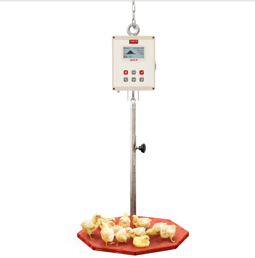 VEIT - Automatic poultry scale BAT2