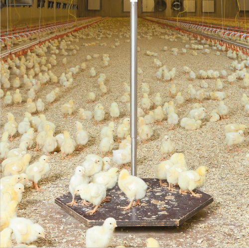 SKOV - DOL 98-20 Bird Weigher