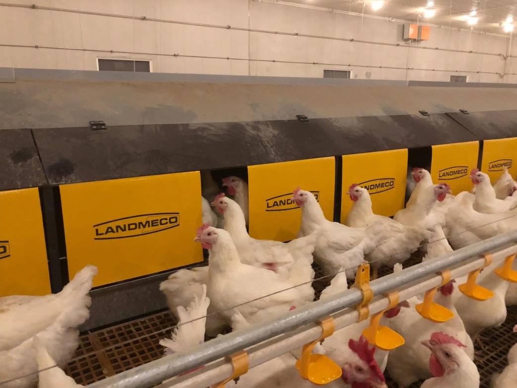 Landmeco Nest Boxes